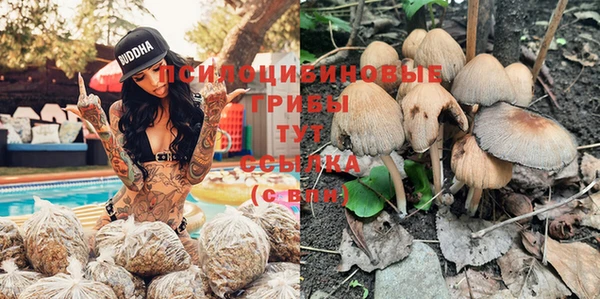 ГАЛЛЮЦИНОГЕННЫЕ ГРИБЫ Ветлуга