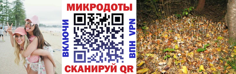 Галлюциногенные грибы ЛСД  OMG   Семилуки  хочу  